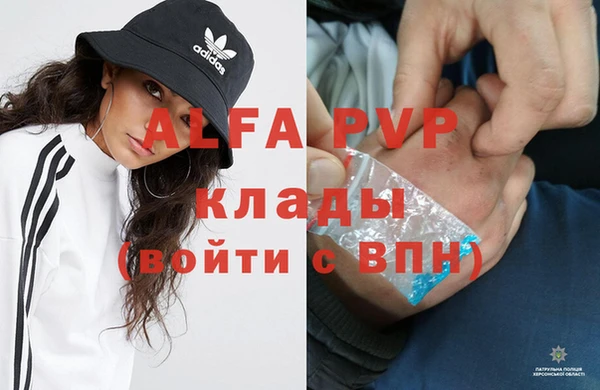ГАЛЛЮЦИНОГЕННЫЕ ГРИБЫ Арсеньев