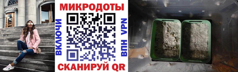 Галлюциногенные грибы Psilocybine cubensis  Протвино 